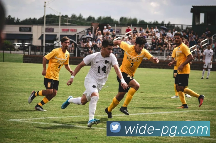 App Interface Preview